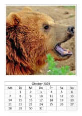 Oktober_Kodiakbär.pdf